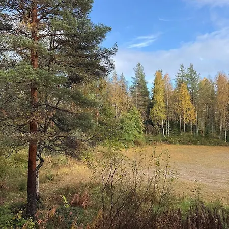Apartment Cozy With A Forest View Rovaniemi